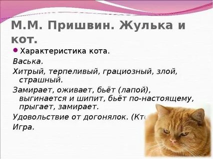 Пришвин кот