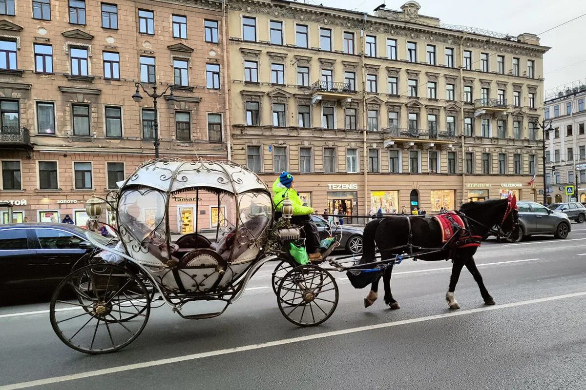 Карета в санкт петербурге. Исаакиевский центр в санкт петербурге карета. карета на дворцовой площади. карета с лошадью. кареты с лошадьми в питере.