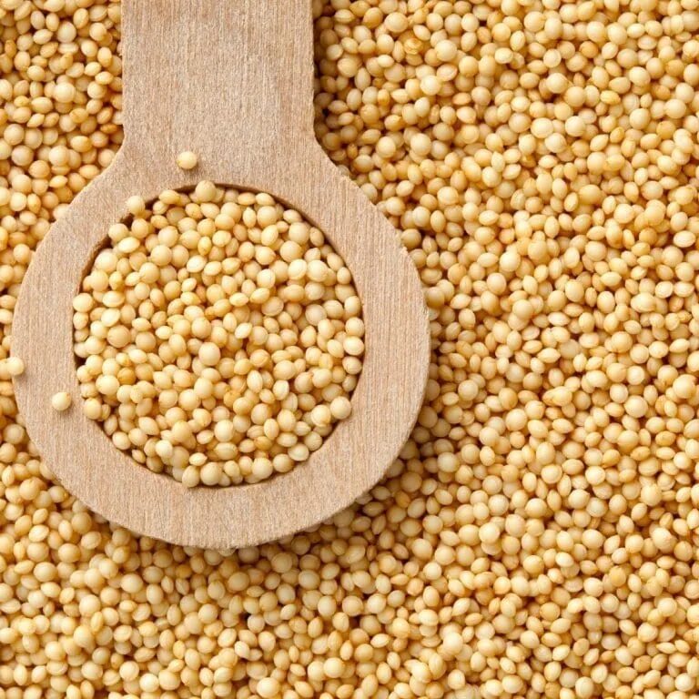 Амарант крупа зерно. Семена амаранта. Амарант, семена какие. Амарант семена (очистка 99%). Семена амаранта.