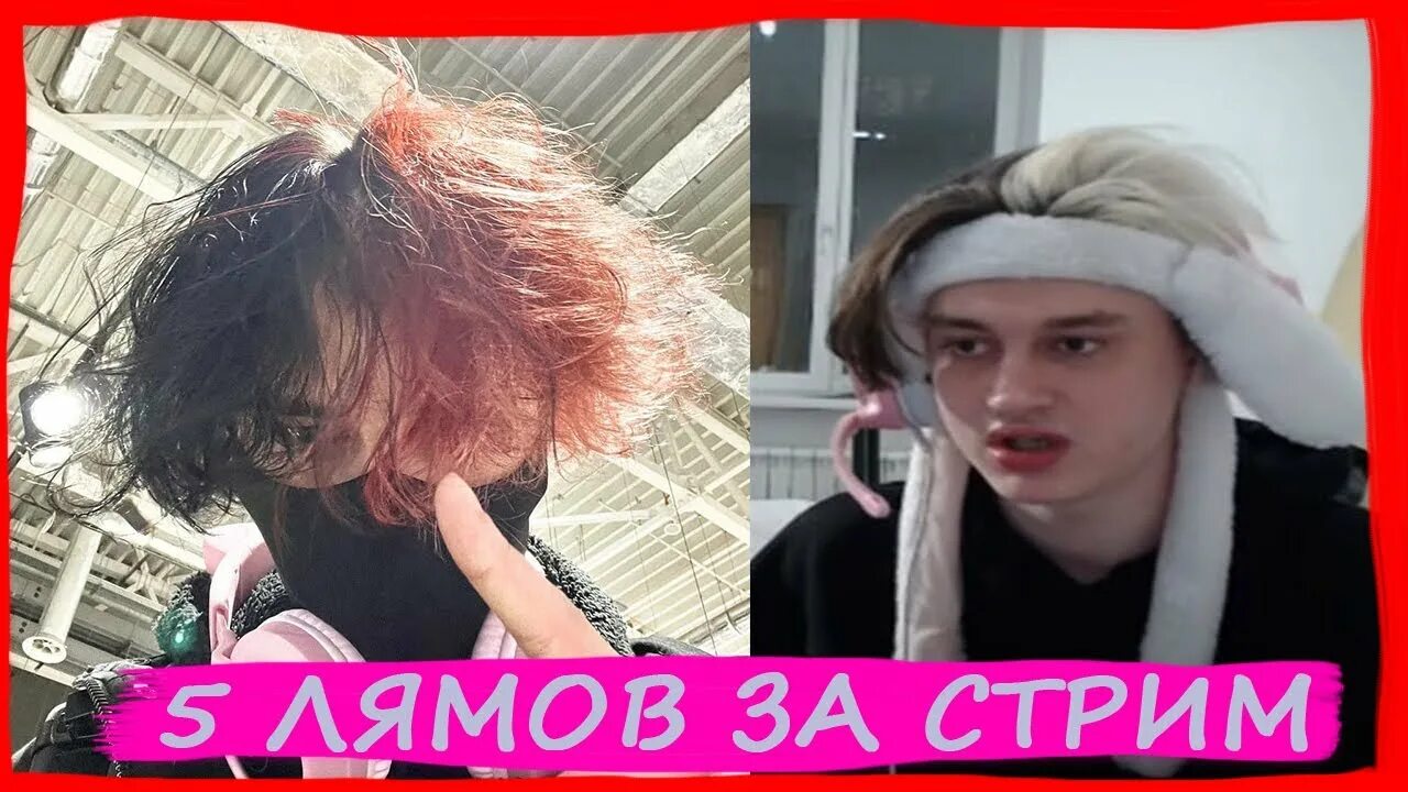 Notail. Прическа курседа стримера. Курсед лицо. Курсед лицо zxc. Курсед прическа стример.