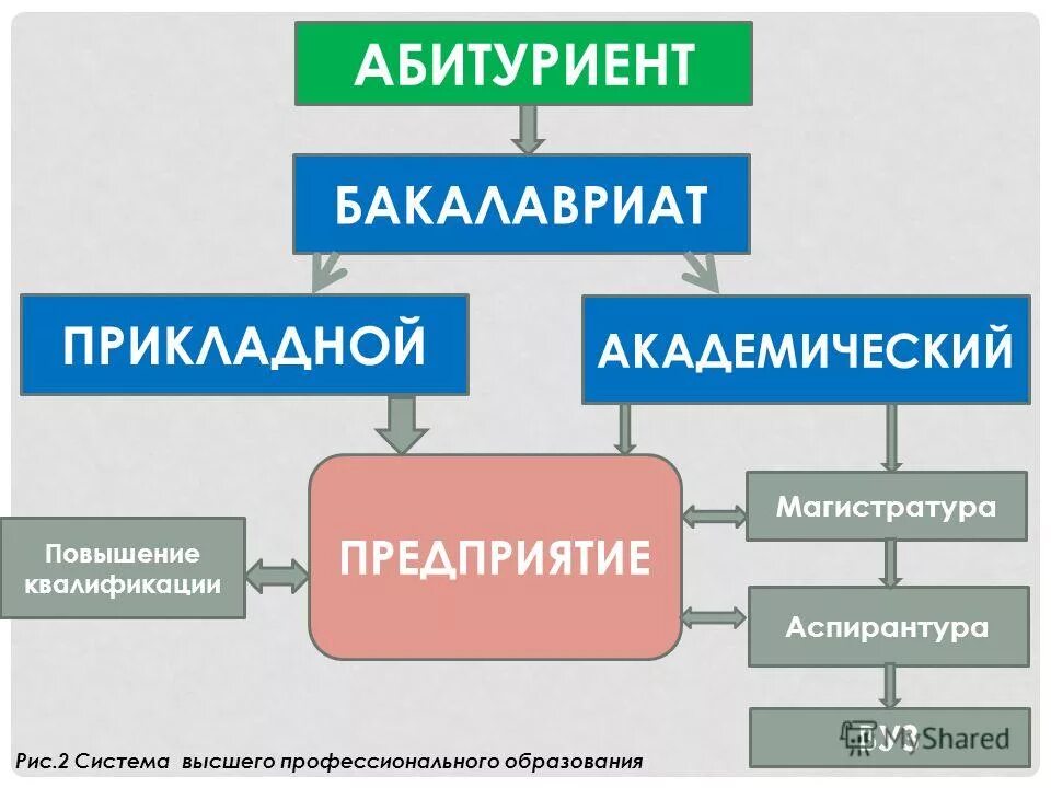 Бакалавриат и магистратура направления. Система бакалавриат магистратура. Схема бакалавриат магистратура. Аспирантура магистратура бакалавриат разница. Бакалавриат прикладной бакалавриат магистратура схема.