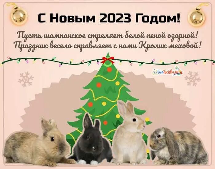 Кролик новый год. Год кролика НГ. Новый год 2023 открытки кролик. Поздравительные открытки с новым годом кролика.