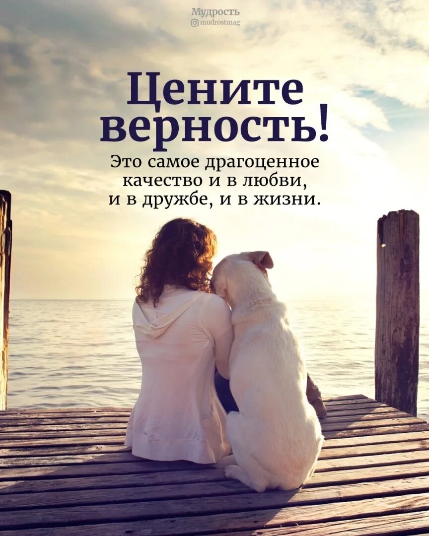Чем является преданность. Цитаты про верность и преданность. любовь это верность и преданность. цените верность. цитаты про верность и любовь.