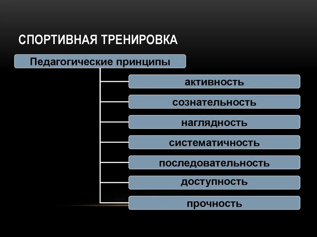 Принципы подготовки спортсмена. Принципы спортивной тренировки. Тренировочные принципы. Принципы спортивной подготовки. Основные принципы спорта.