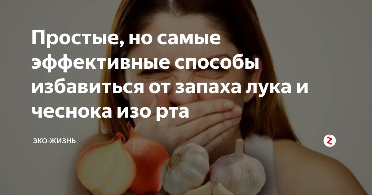 Продукты избавляющие запаха изо рта. Как быстро избавиться от запаха чеснока. Как избавиться от запаха изо рта. Чем перебить запах чеснока