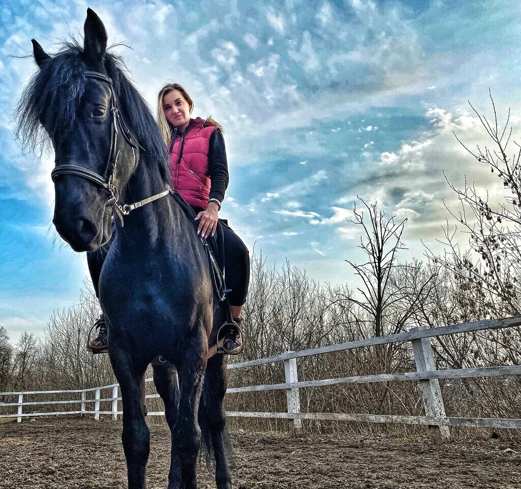 лошадь центр. лошадь центр. конные прогулки лосиный остров. конно спортивный комплекс пегас челябинск. кск конная лахта.