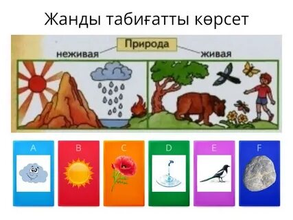 Оргазм кезіндегі сексуалдық мимика және әйелдердің бет-әлпеті бейне
