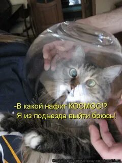 Выйти под