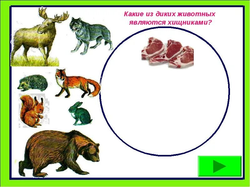 Содержание диких животных в качестве домашних. Презентация Дикие животные. Какие есть Дикие животные. Какие Дикие животные являются самыми. Вспомните какие животные являются дикими.