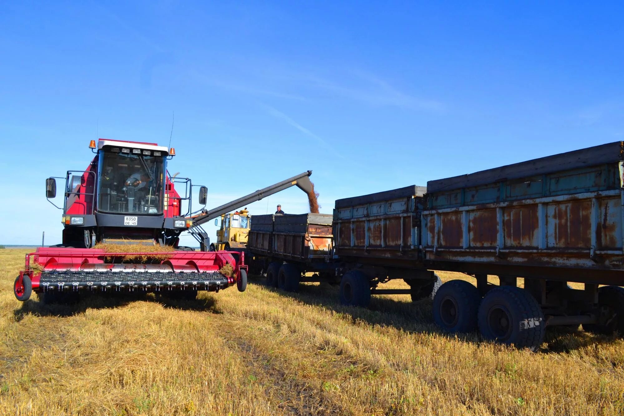 Совхоз курганский. Сады зауралья. Совхоз луч. Герб шумихинского района курганской области. Позор зао степное.
