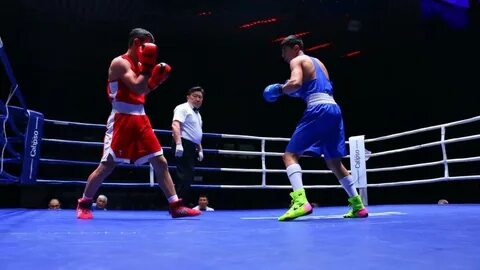 Бокс лицензионный турнир