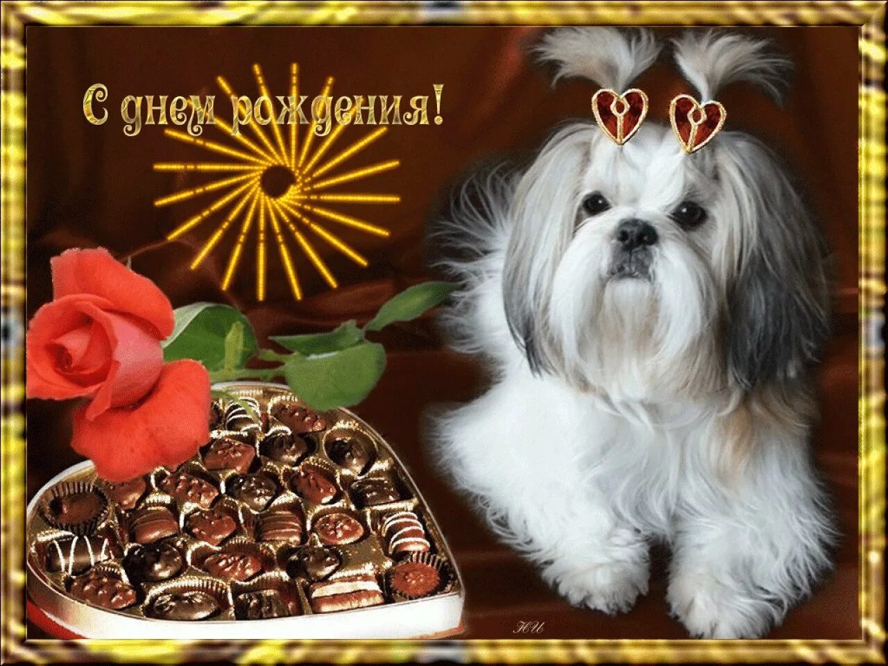 Поздравление с днем рождения живые открытки. С днем рождения. День рождения собаки. С днём рождения собачки. Открытки с днём рождения с собачками красивые.