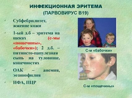 Парвовирус лечение