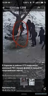 Несла потери