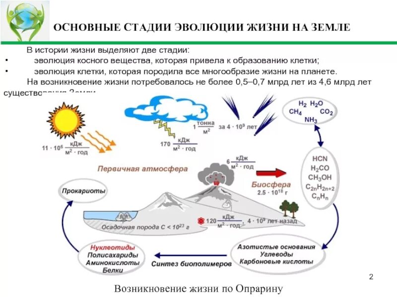 Этапы земли. Основные стадии возникновения жизни. происхождение и начальные этапы развития жизни на земле. основные этапы происхождения жизни. этапы процесса возникновения жизни на земле.