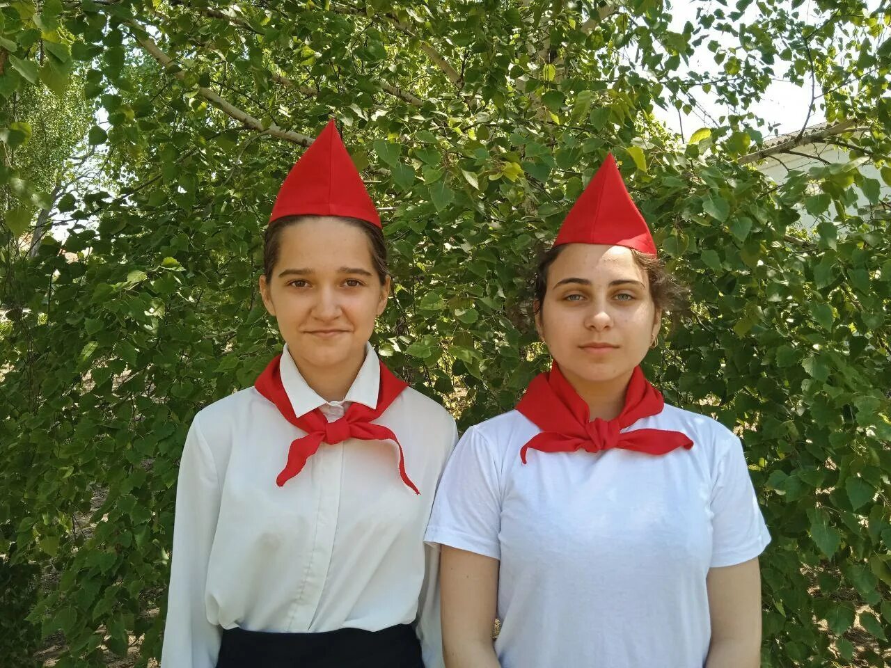 Пионер дата выхода. Пионер дата выхода