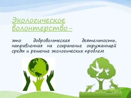 Проекты в экологической сфере