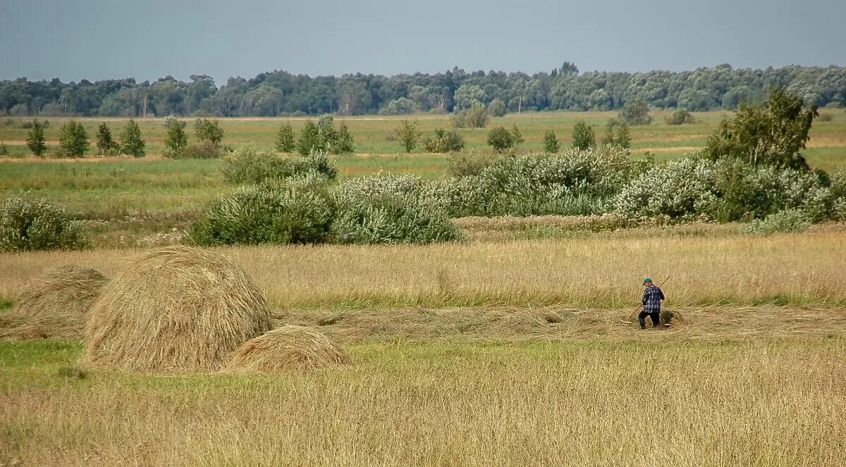 Лето в деревне сенокос. Деревня песка. Фото сенокоса в деревне. Лето в деревне сенокос. Сенокос в башкирии.