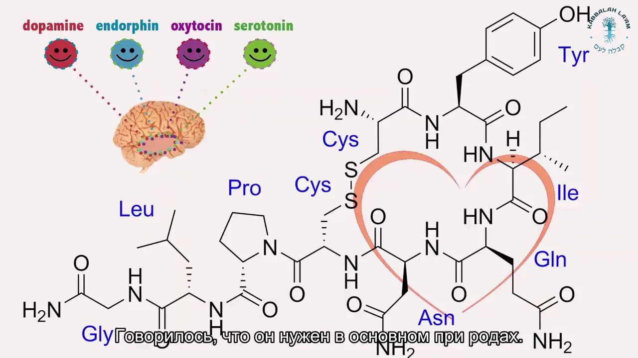 Окситоцин гормон счастья. Окситоцин гормон любви. Окситоцин формула любви. Окситоцин гормон счастья и любви.
