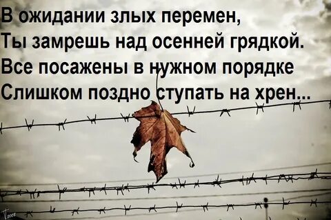 Злых перемен