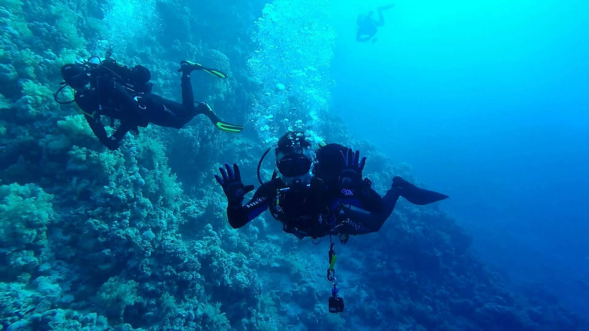 Sea dive. Дайвинг Демре. Дайвинг в Гурзуфе. Садко Египет дайвинг. Кайо Коко дайвинг.