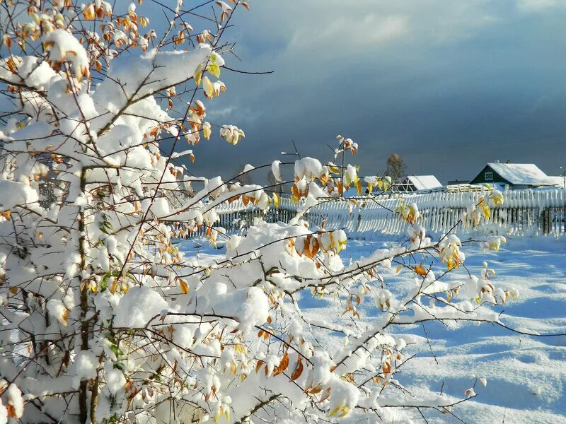 с наступлением зимы. зимний зимний белым пламенем объят. зимний вечер. зимний вечер. ледяная вьюга.