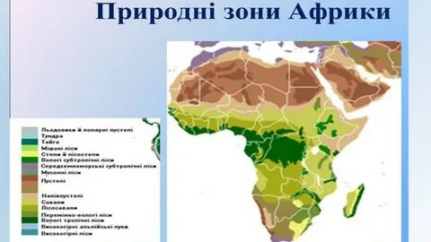 Природная зона африки азии южной америки