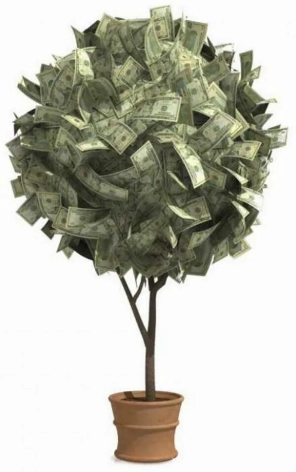 Дерево из денег. Дерево с деньгами. Денежное дерево с купюрами. Дерево с деньгами подарок. Дерево из купюр