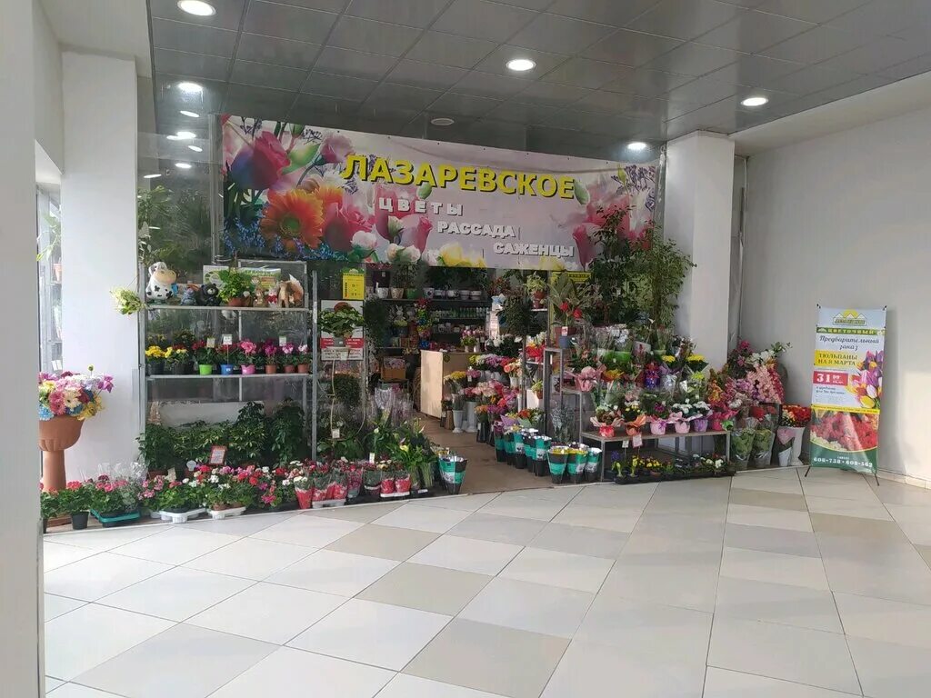 цветочный лазаревское. цветочный лазаревское ярославль. цветочный магазин рыбинск лазаревское. цветочный магазин лазаревское ярославль. цветочный магазин лазаревское ярославль.