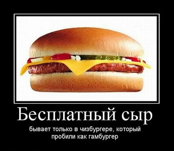 Мы что идем есть бургеры 1 час. Приколы про фаст фуд. бургер прикол. гамбургер прикол. смешные фразы про бургеры.