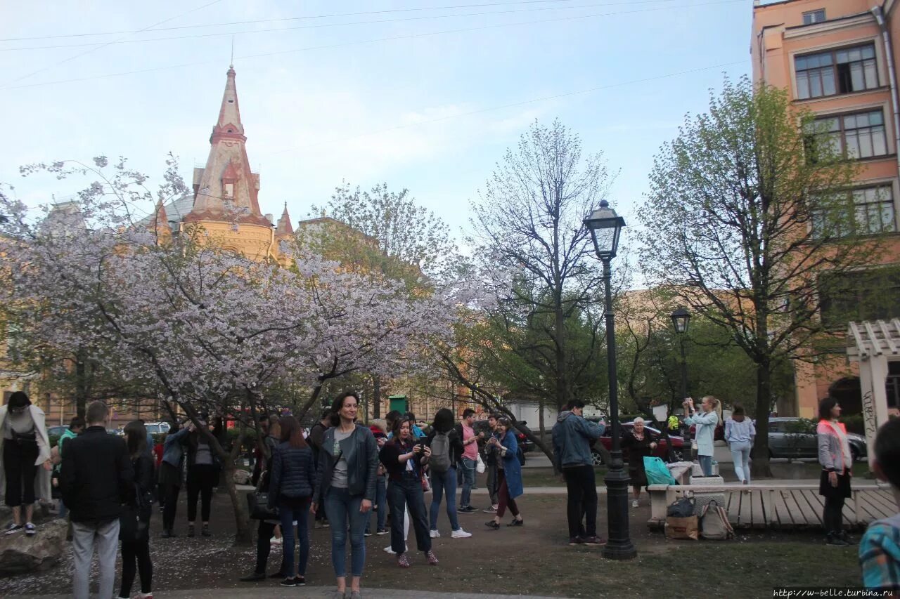 Сад дружбы на литейном. Сад дружбы в санкт-петербурге на литейном. сквер дружбы спб. парк дружбы питер. санкт-петербург сквер дружбы сад дружбы.