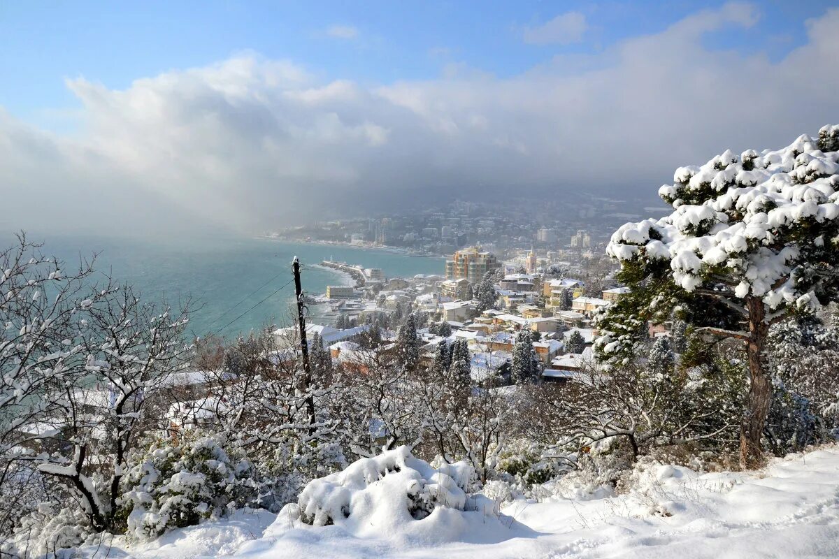 ялта фото. ялта в снегу. фото ялта 2023 плохого качества. ялта в феврале. ялта в конце февраля фото.