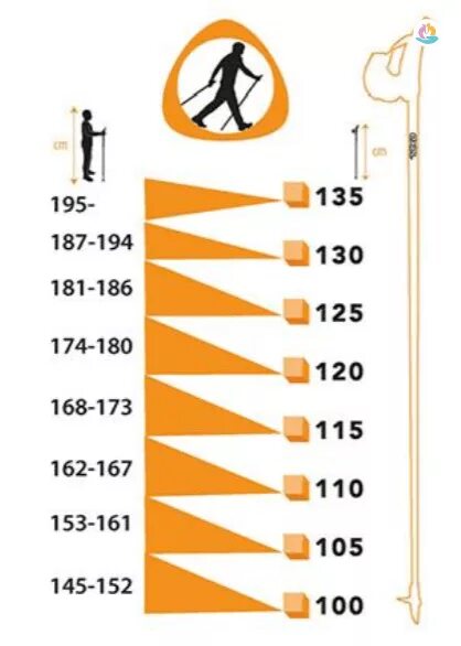 Таблица высоты палок для скандинавской ходьбы. Высота палок для скандинавской ходьбы по росту таблица. Подобрать длину палок для скандинавской ходьбы. Таблица длины палок для скандинавской ходьбы и роста человека.