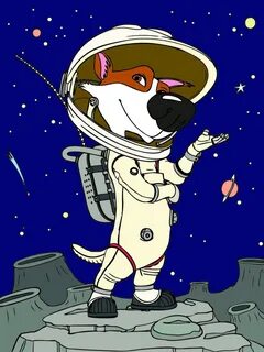 День космонавтики собака