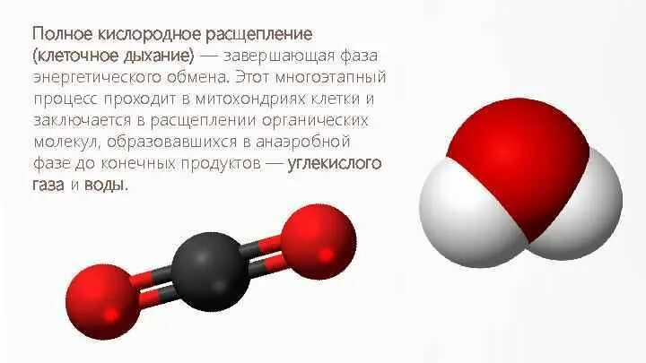 Молекула образуется в результате взаимодействия. Полное кислородное расщепление. Расщепление молекул. Расщепители на молекулы. Расщепление молекул воды.
