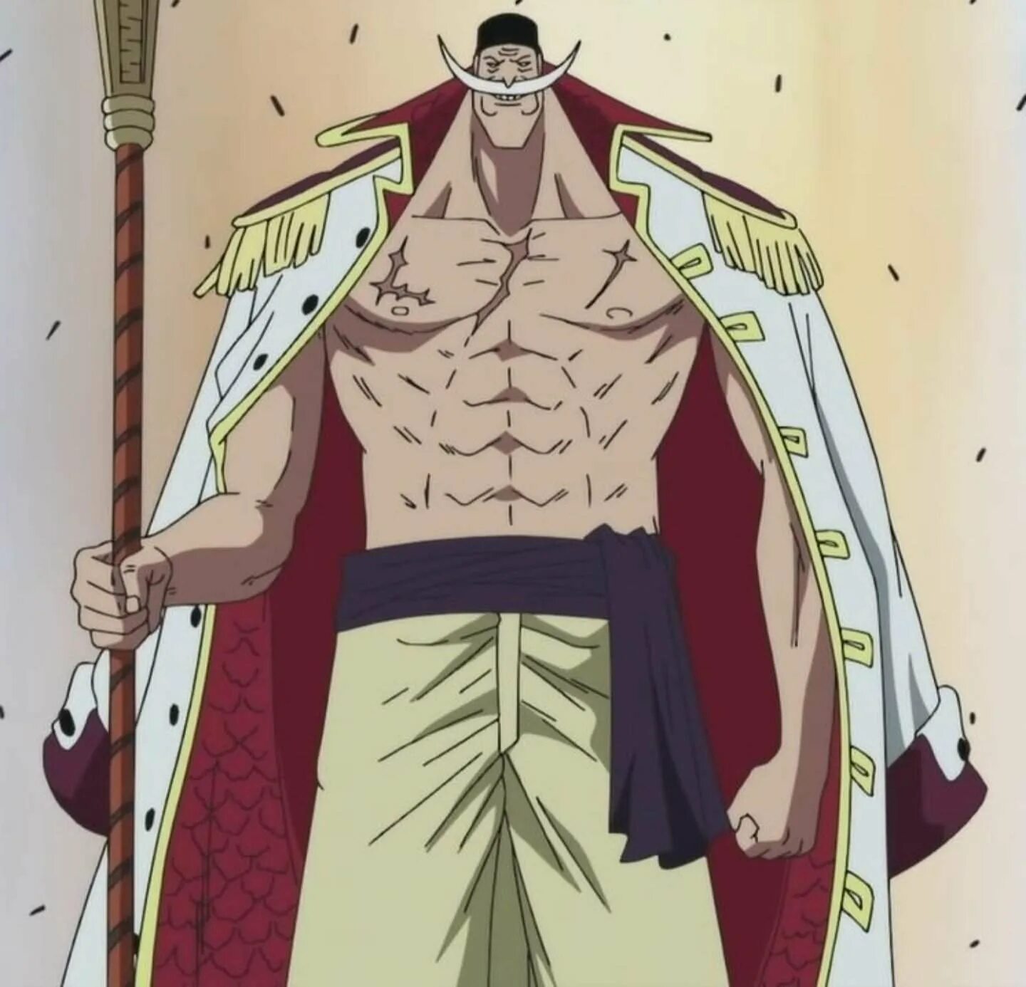 Плащ белоуса. Плащ белоуса. Белоус ван пис. Ван пис могила белоуса. Эдвард ньюгейт белоус.