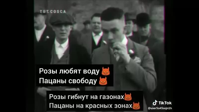 Розы гибнут. Розы любят воду пацаны свободу розы гибнут. Розы любят воду пацаны свободу. Розы гибнут на газонах а пацаны на красных зонах. Розы любят воду пацаны свободу розы любят.