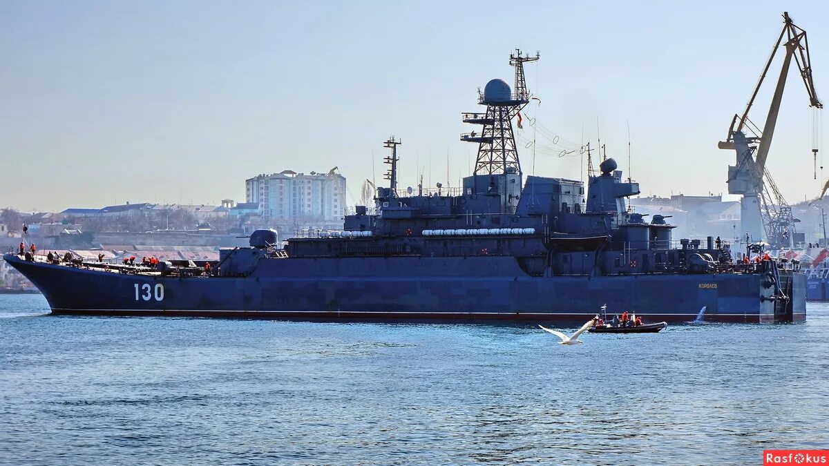 бдк 130 королев. бдк 775 королев. корабль королев балтийский флот. бдк 130 королев. бдк 130 королев.