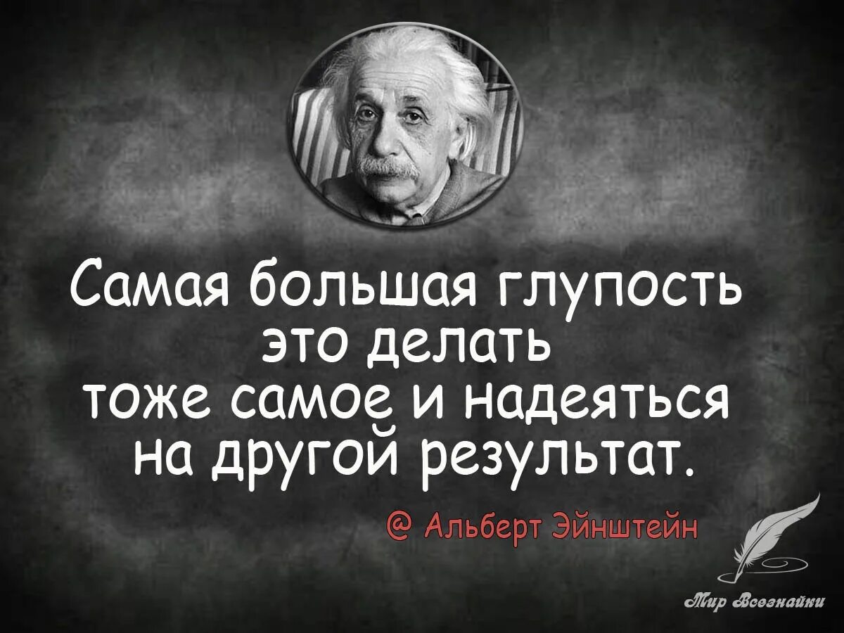 Цитаты про глупых. Цитаты про глупых людей. цитаты про глупость. афоризмы про глупых людей. оформзмы оглупых лядчх.