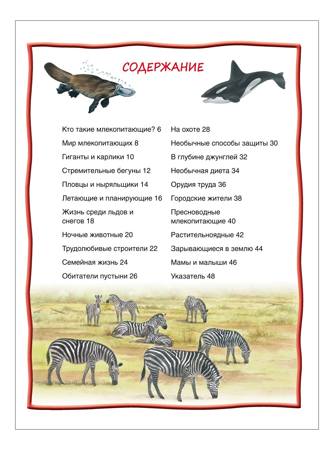 Средний размер млекопитающих