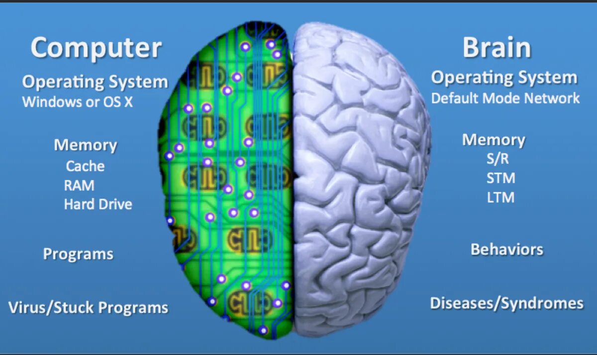 Brain vs brain. Мозг компьютера. Компьютер и человеческий мозг. Сравнение компьютера и мозга. Интерфейс мозг компьютер.