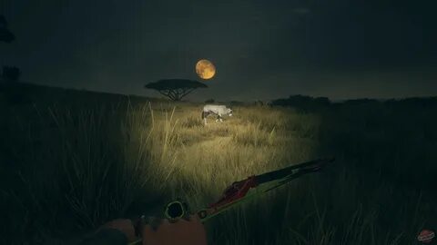 High tech hunt