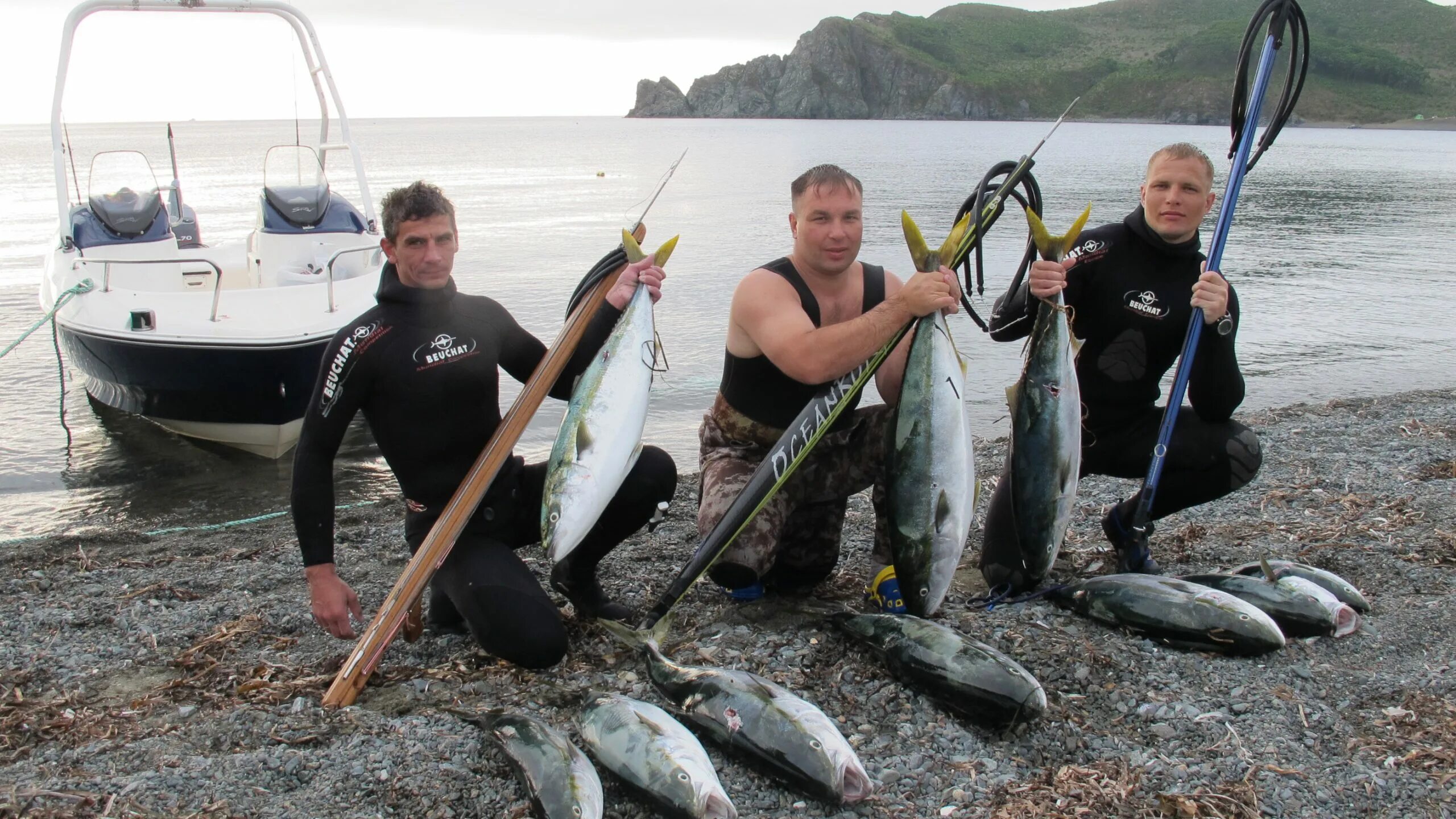 рыба приморск