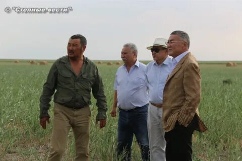 Кфх калмыкия