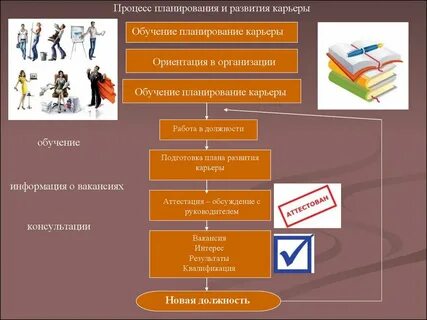 Учебные должности