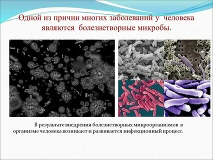 Болезнетворные бактерии примеры болезней