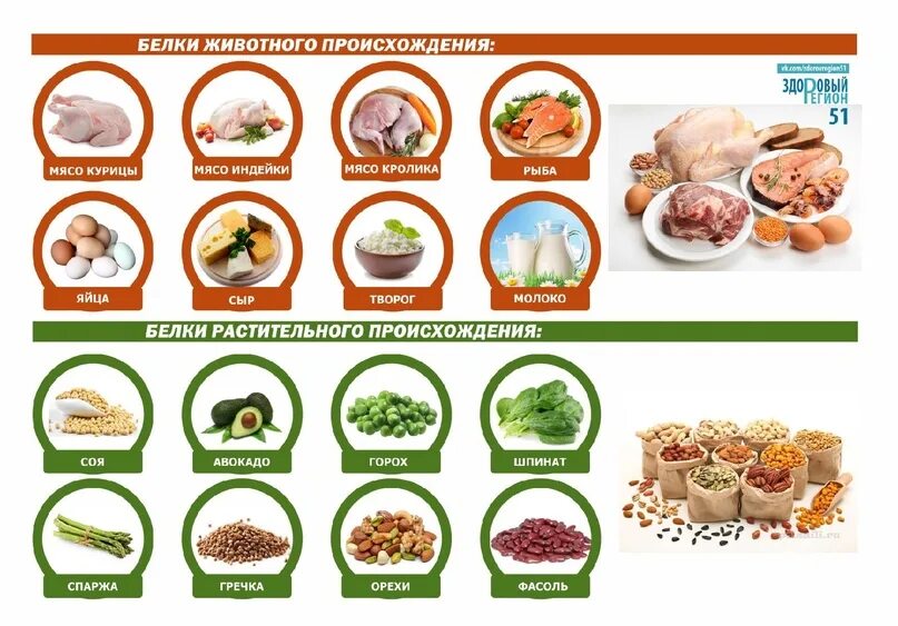 Перечень белковых. Белки растительного происхождения таблица. Продукты содержащие белок растительного происхождения таблица. Растительный белок продукты. Продукты содержащие белок животного происхождения.