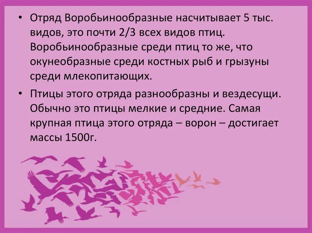 Установите последовательность отряд воробьинообразные. Воробьинообразные презентация. отряд воробьинообразные презентация. характеристика отряда воробьинообразные. представители класса воробьинообразные.