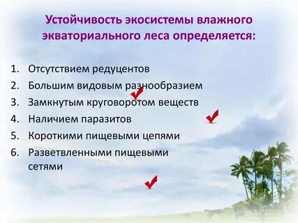 Установите соответствие влажные леса