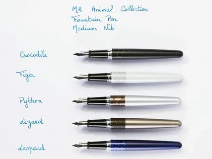 Pilot animal